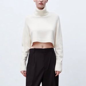Zara High Collar Knit Sweater